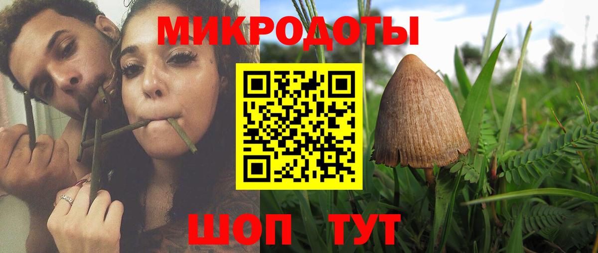 Галлюциногенные грибы Psilocybine cubensis  Вход с VPN  Керчь 